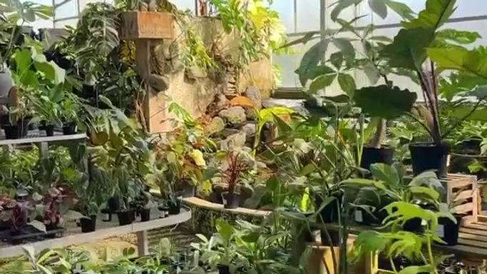 WhatsApp Video 2025-06-25 at 21.20.25 (3)